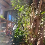 Rini House - Relax Tra Costa Smeralda E La Maddalena * 산 파스콸레
