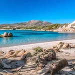 Rini House - Relax Tra Costa Smeralda E La Maddalena * סן פסקואלה