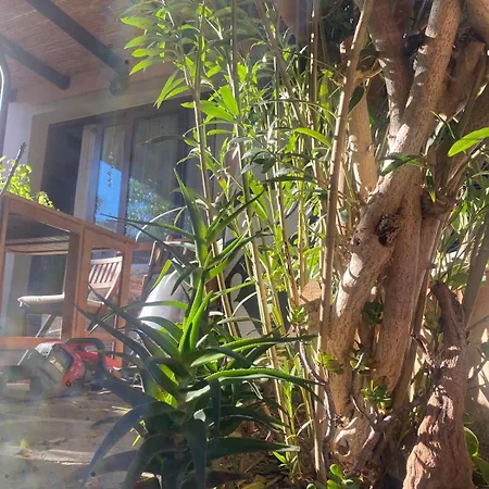 Rini House * San Pasquale