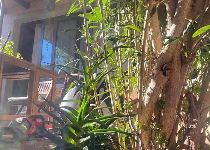 Rini House - Relax Tra Costa Smeralda E La Maddalena * San Pasquale